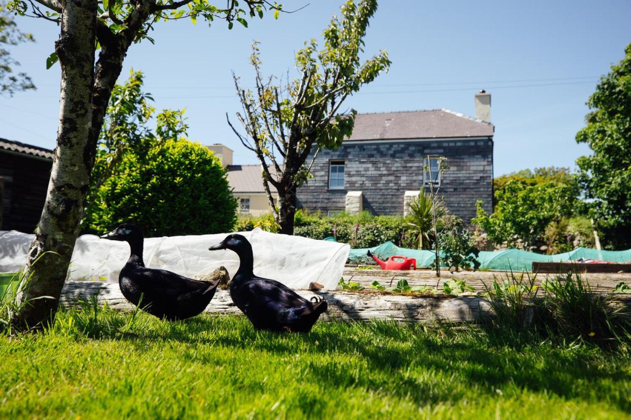 Penrhiw Farm B & B Goodwick Exterior foto